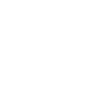 Bulb Icon
