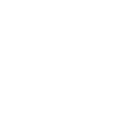 Security Shield Icon