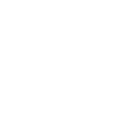 Search Icon