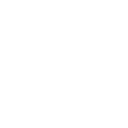 Light Bulb icon