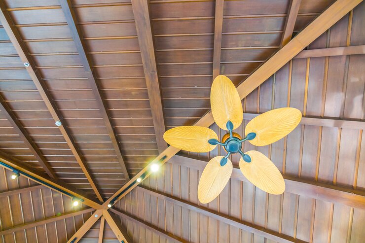 Ceiling Fan