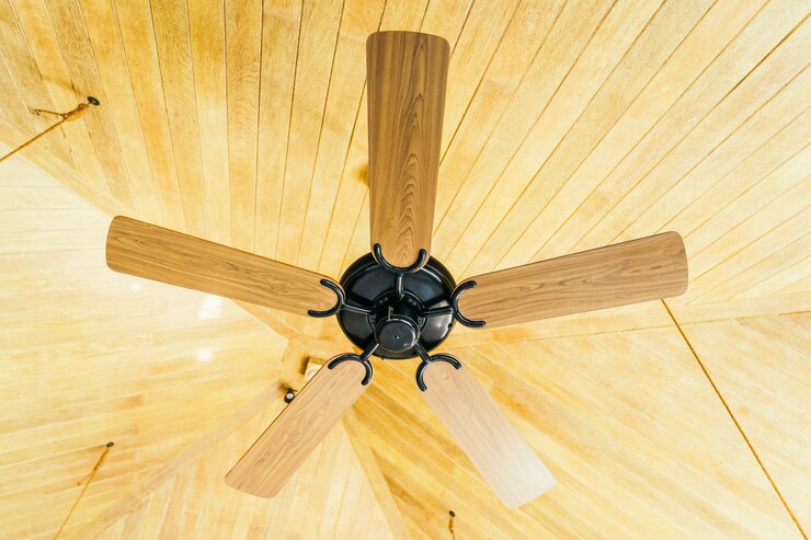 Ceiling Fan
